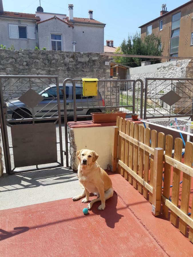 Studio Apartman Danijela Пула Екстер'єр фото
